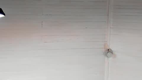 Chriz online show from December 5, 5:37 am