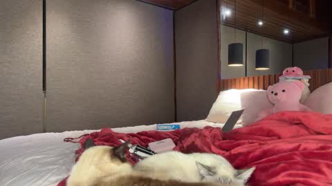 Snapshot of christinasage chatting on September 18, 4:03 am Christina Sage online show from September 18, 4:03 am