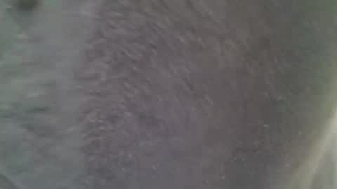 chubbycub14 online show from February 7, 3:38 pm