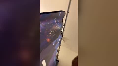 Mommy milf online show from April 6, 3:26 am