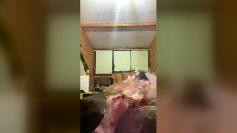 Snapshot of chzljqzbysno chatting on January 14, 12:22 pm chzljqzbysno online show from January 14, 12:22 pm