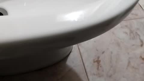 ciccilli online show from October 8, 8:17 pm