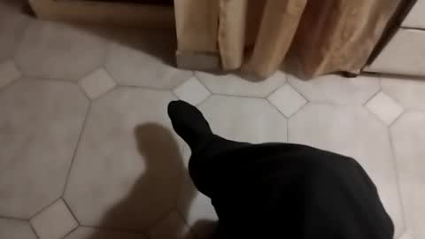 ciccilli online show from October 17, 9:39 pm