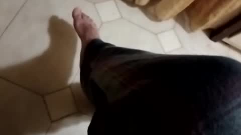 ciccilli online show from November 4, 10:31 pm