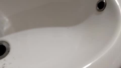 ciccilli online show from November 6, 9:59 pm