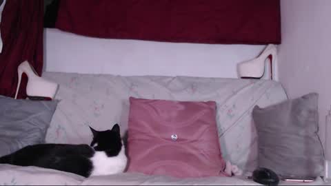 Snapshot of cicimom chatting on January 24, 3:32 am cicimom online show from January 24, 3:32 am