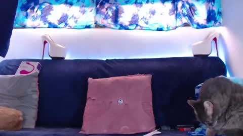 Snapshot of cicimom chatting on February 5, 5:20 pm cicimom online show from February 5, 5:20 pm