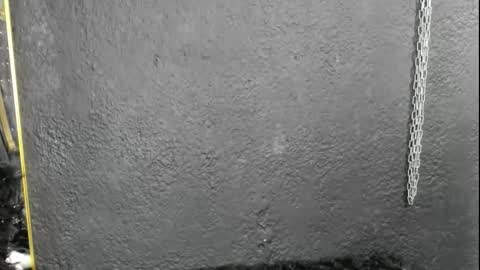 cintyarose online show from February 26, 1:21 pm