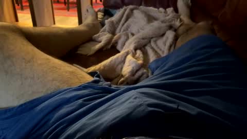 Snapshot of cj3d2 chatting on December 13, 9:52 pm Cjd32 online show from December 13, 9:52 pm