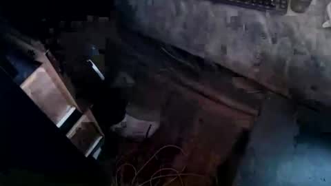 cj_wunderlust online show from November 4, 7:02 pm