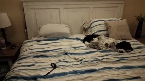 Snapshot of cking14340730238 chatting on October 10, 7:40 am KingDing online show from October 10, 7:40 am