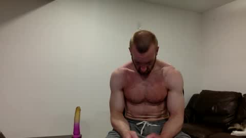 Clarke Cock online show from March 17, 12:30 pm