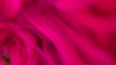 clarkshammer95 online show from March 3, 9:26 pm