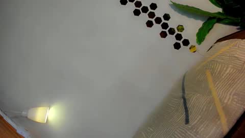 Amanda trans red one  Anna Girl black one online show from January 12, 3:17 pm