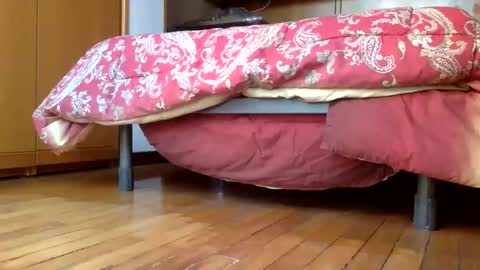 claudi779 online show from December 29, 3:24 pm