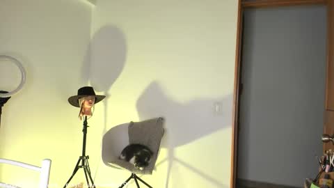 Snapshot of claudiarivera_1 chatting on October 31, 1:06 am Claudia Rivera online show from October 31, 1:06 am