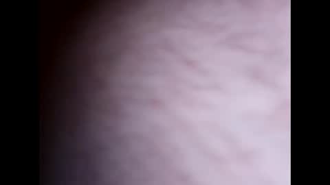 Snapshot of clit_commander209 chatting on November 27, 7:54 am clit_commander209 online show from November 27, 7:54 am