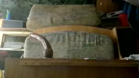 HeyTurkeyBoy online show from March 15, 11:49 am