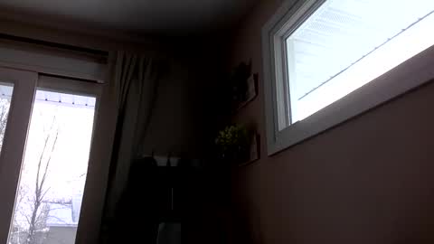 COACH online show from December 14, 2:00 pm