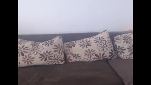 cobra4u online show from November 19, 9:53 am