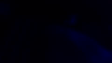 Cocolino  online show from May 7, 8:36 pm