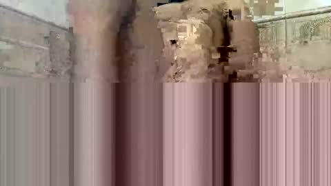 cockdoc4444 online show from October 15, 5:40 am