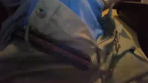 cocksmana online show from January 19, 5:22 am