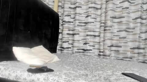Snapshot of coco_leila chatting on January 29, 4:47 am coco_leila online show from January 29, 4:47 am