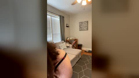 Snapshot of codebynova chatting on December 18, 7:42 pm Code By Nova online show from December 18, 7:42 pm