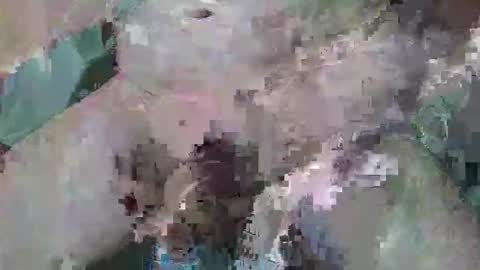 cogela_sin_miedo online show from October 6, 11:46 pm