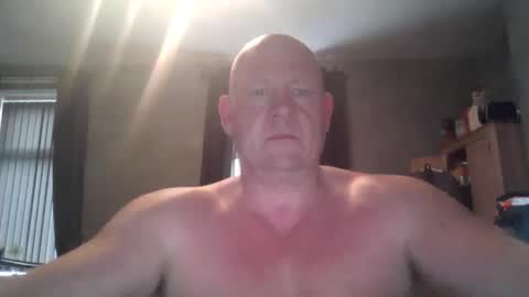 col4nows online show from November 14, 12:15 pm