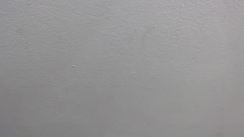 Snapshot of colombia_mommy_ chatting on January 16, 12:31 pm GRETCHEN online show from January 16, 12:31 pm