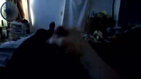 Snapshot of connlee10929154 chatting on January 16, 2:21 pm connlee10929154 online show from January 16, 2:21 pm