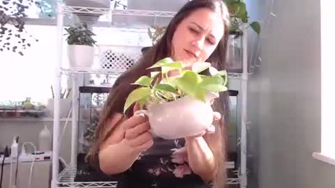 ANR Mommy online show from October 4, 4:27 pm