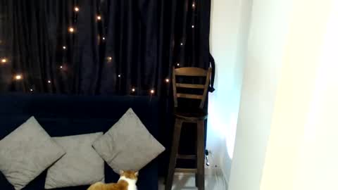 Snapshot of cony35 chatting on June 10, 3:07 am Sofi online show from June 10, 3:07 am