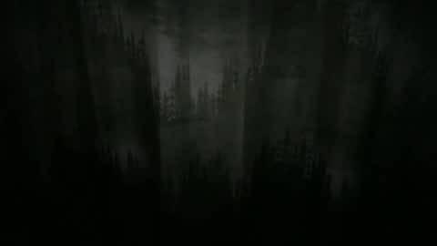 Cool Dude online show from December 21, 10:08 pm