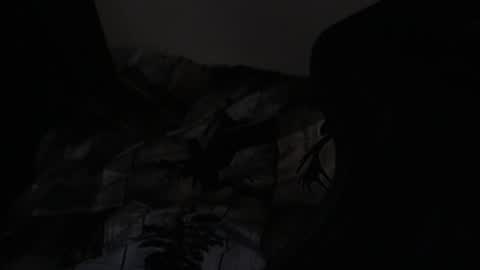 cooley77701 online show from February 24, 9:18 am