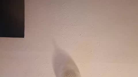 cooper_120805 online show from September 23, 2:47 am