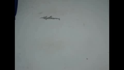 cornxcunt online show from February 18, 9:44 pm