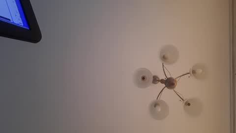 Snapshot of corvus4 chatting on December 30, 12:52 pm Corvus online show from December 30, 12:52 pm