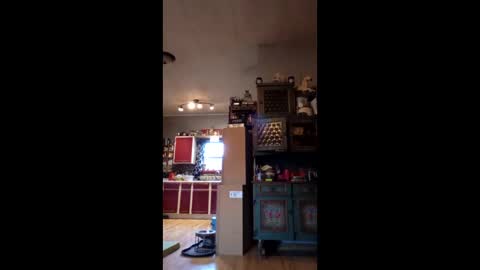 Snapshot of craig232301327629 chatting on January 9, 1:36 pm craig232301327629 online show from January 9, 1:36 pm