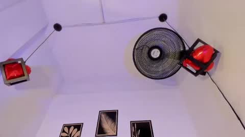 criss_zuri online show from April 9, 11:48 am