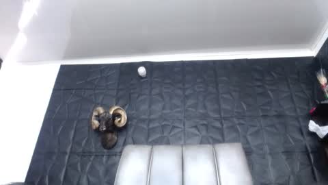 Hanna  online show from March 15, 2:01 pm