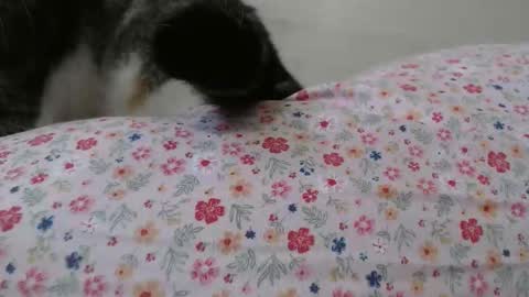 cristiyna36 online show from March 25, 12:11 pm