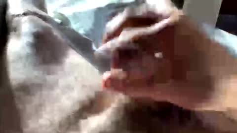 Snapshot of crushit chatting on January 10, 5:04 pm Crushit online show from January 10, 5:04 pm