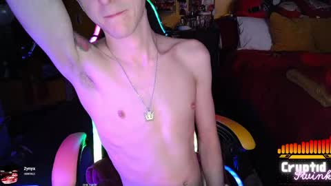 CryptidTwink online show from April 27, 5:38 am