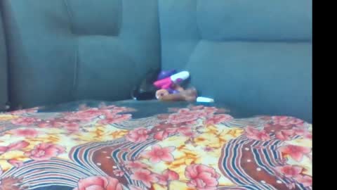 crystallgem online show from March 2, 1:07 pm