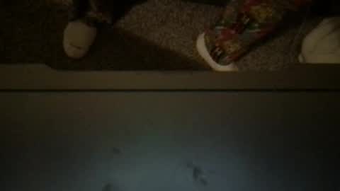 CuddleFuckXXX online show from April 3, 3:15 am