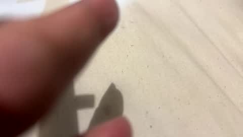 im KIM new girl to spoil online show from October 21, 2:51 pm