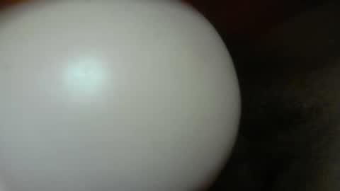 Snapshot of cumdr619 chatting on January 8, 10:23 pm cumdr619 online show from January 8, 10:23 pm